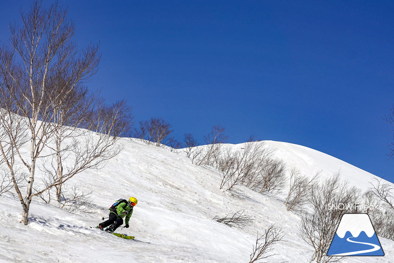 ニセコグラン・ヒラフ DYNASTAR SKI TEST RIDE DAYS Photo Session!!最高の天気に恵まれたニセコに、最高の仲間たちが集まりました☆